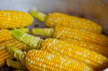 Corn Vending Machine: Prices & Types of Corn Products 2024