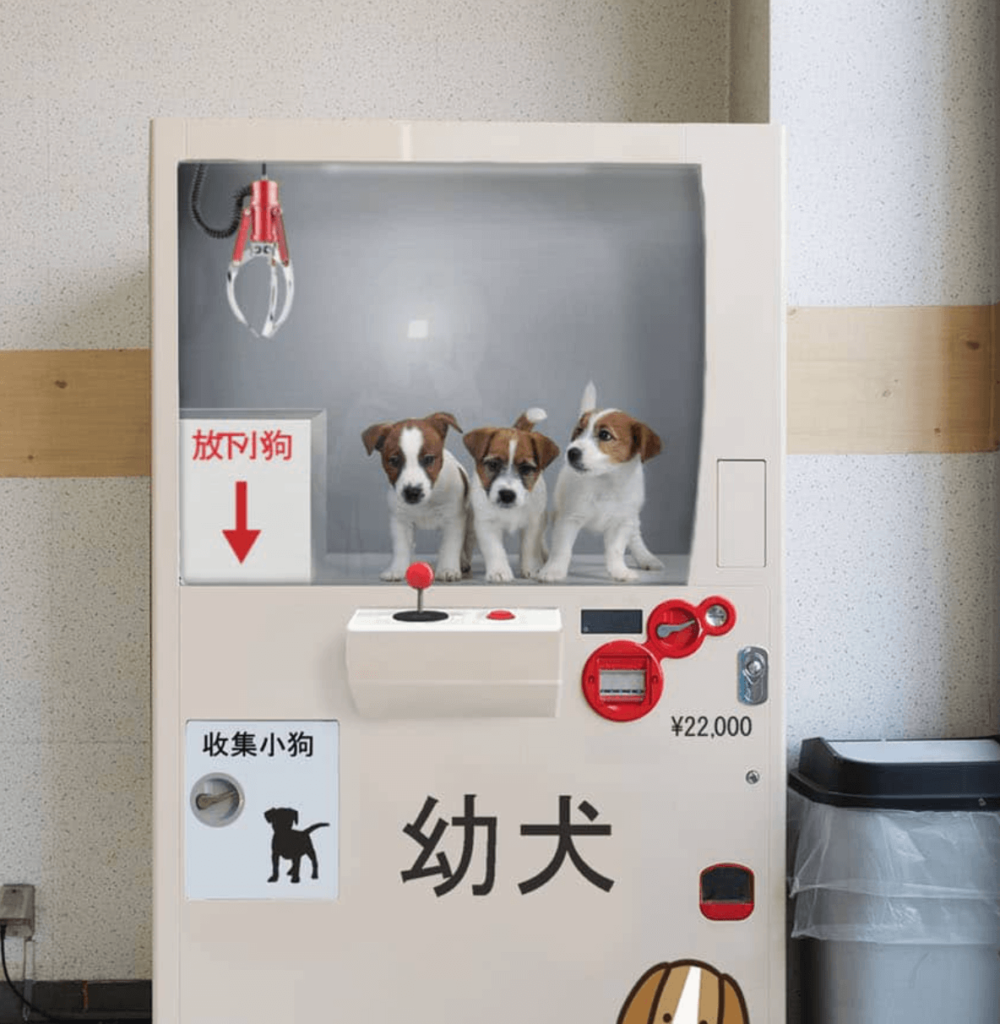 Puppy Vending Machine